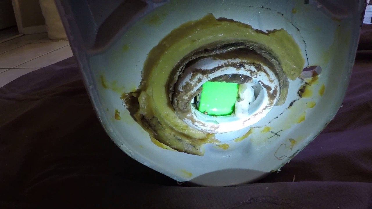 Как вытащить игрушку из унитаза — Меса, Аризона