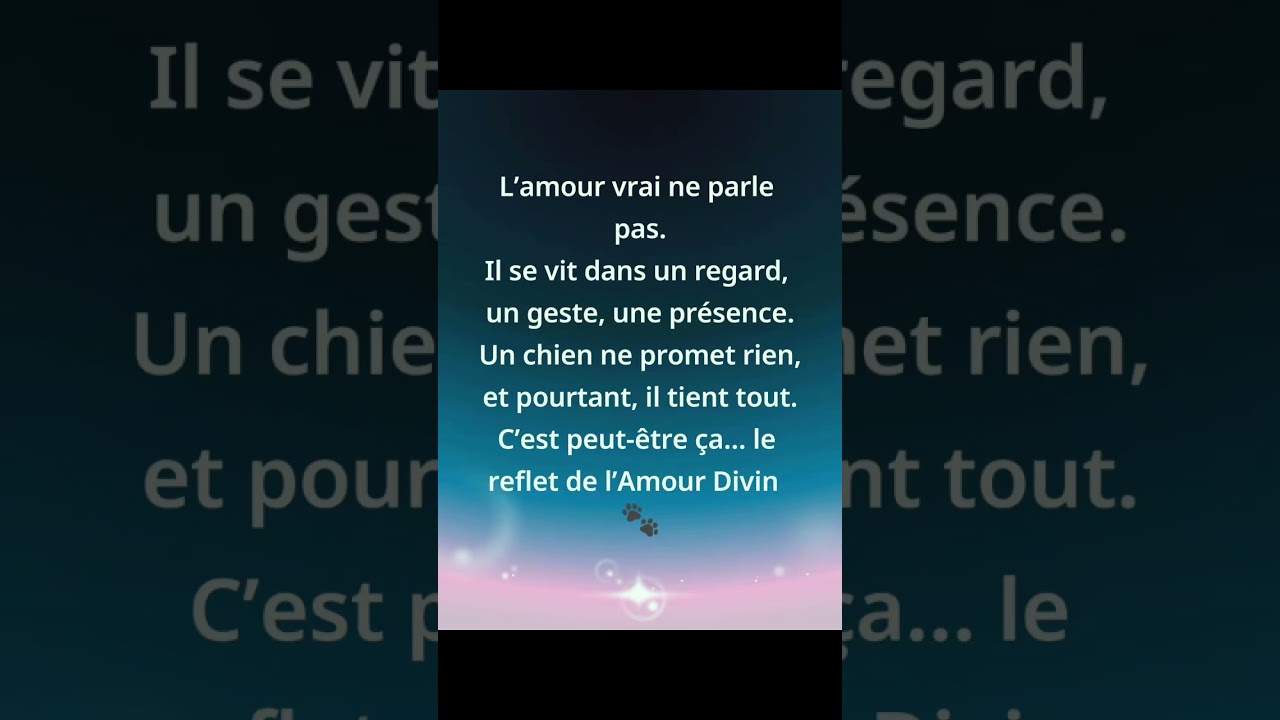 Le reflet de l’amour divin # amour inconditionnel  # chien  # foi  # loyauté .