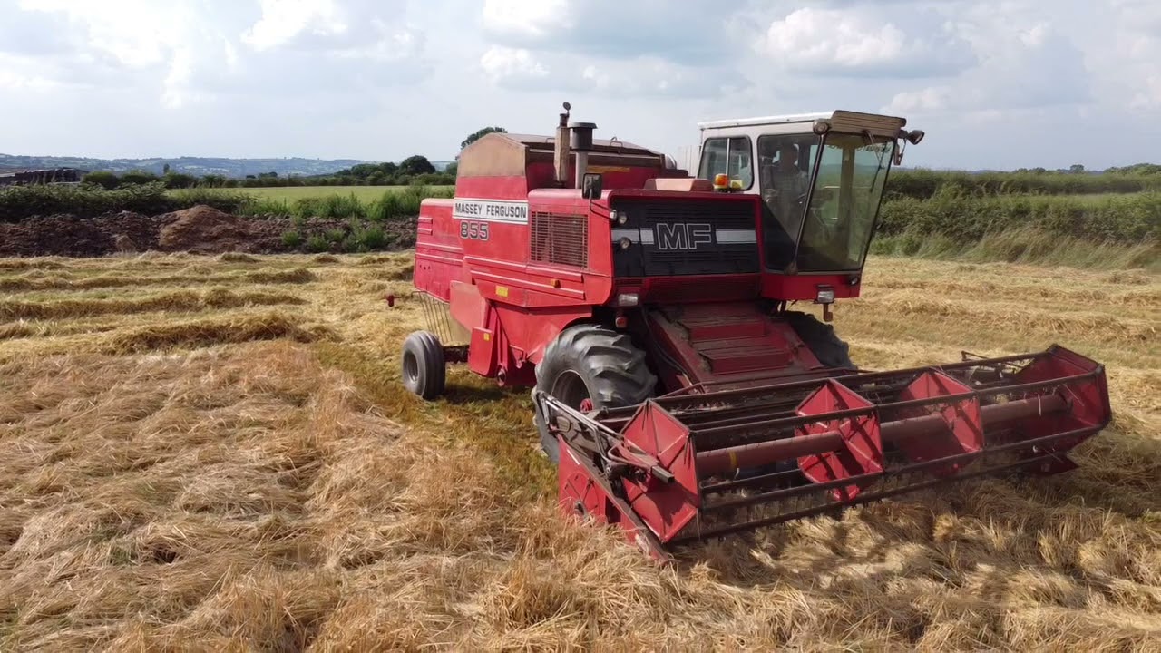 Massey Ferguson 855,Winter barley