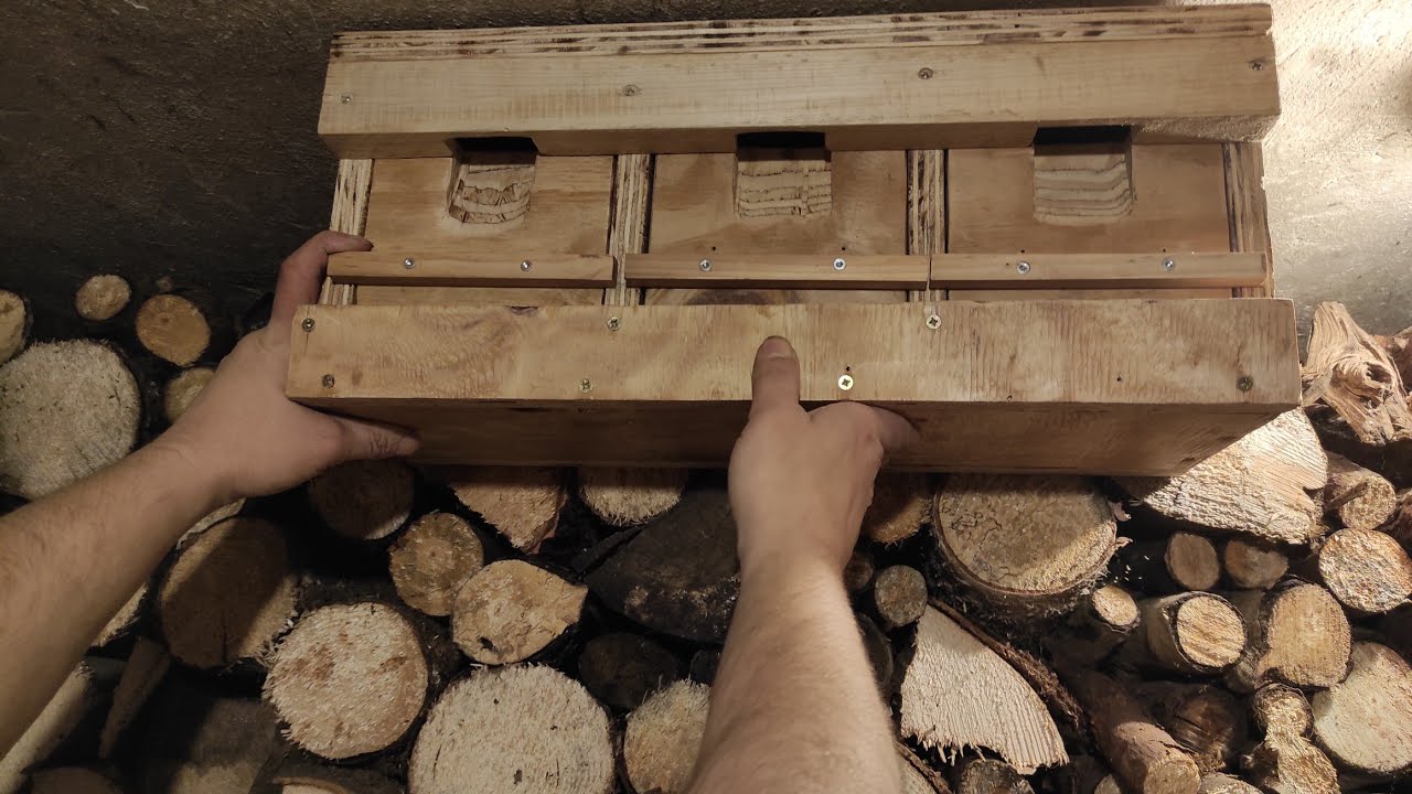 Spatzen Hotel 🏨 nistkasten für Sperling Bauen einfach und schnell gemacht Spatzen lieben es