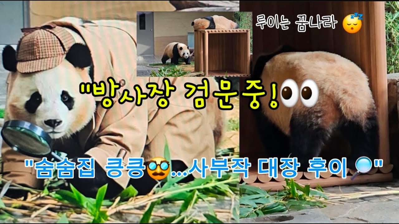 [ep.66]