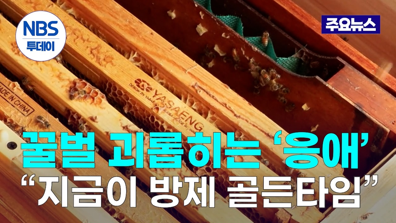 꿀벌 괴롭히는 ‘응애’…“지금이 방제 골든타임”