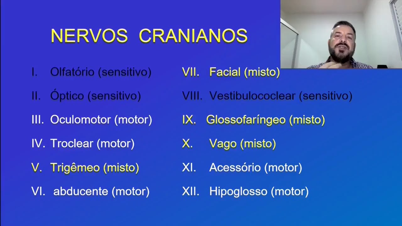 Exame Neurológico. 4 - Avaliação dos Nervos cranianos