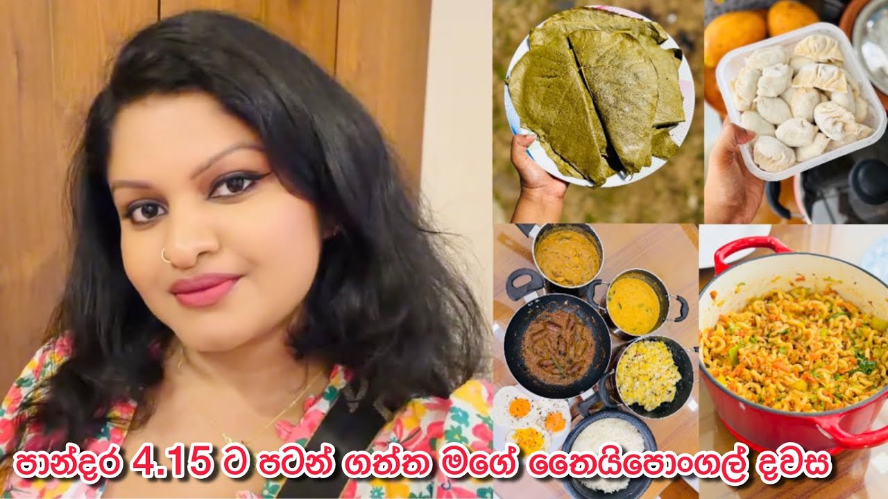 හබීට නිවාඩු තෛයිපොංගල් දවස අපි ගත කරපු විදිහ | Breakfast Lunch Ideas | කෑම ගොඩාක් හදපු දවසක් Bhagi 