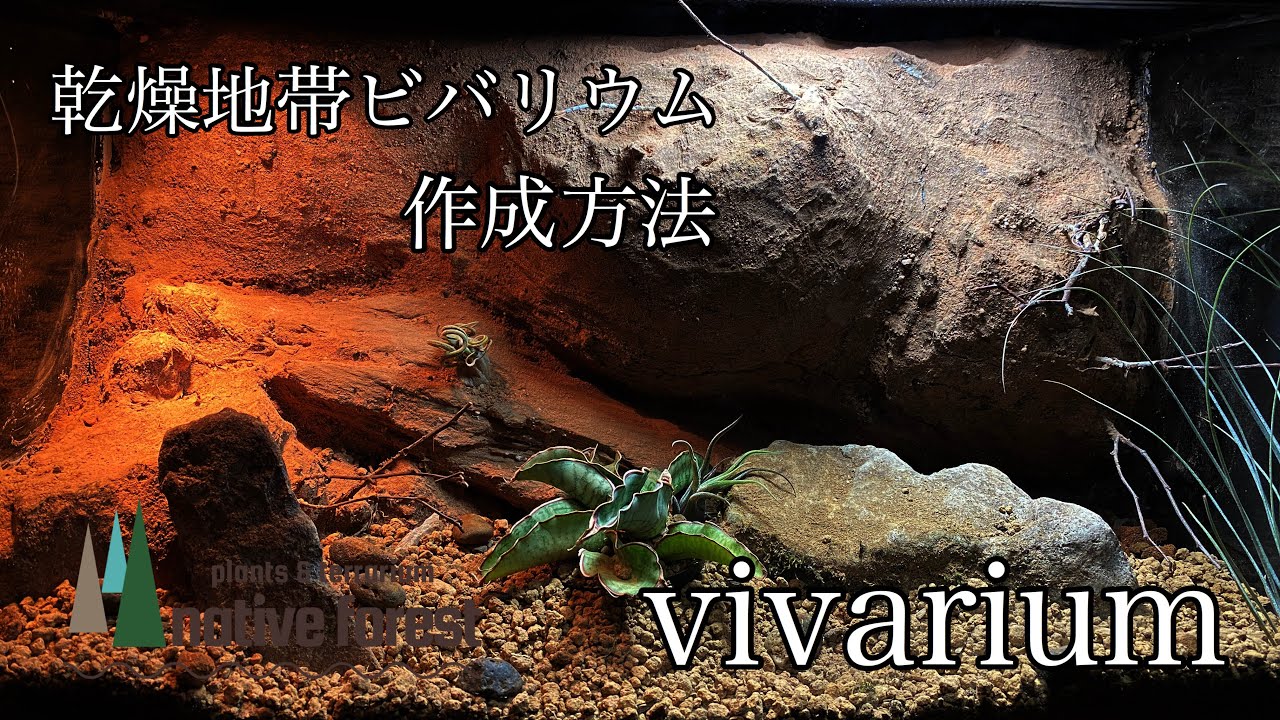 「乾燥地帯ビバリウム」作成方法 vivarium