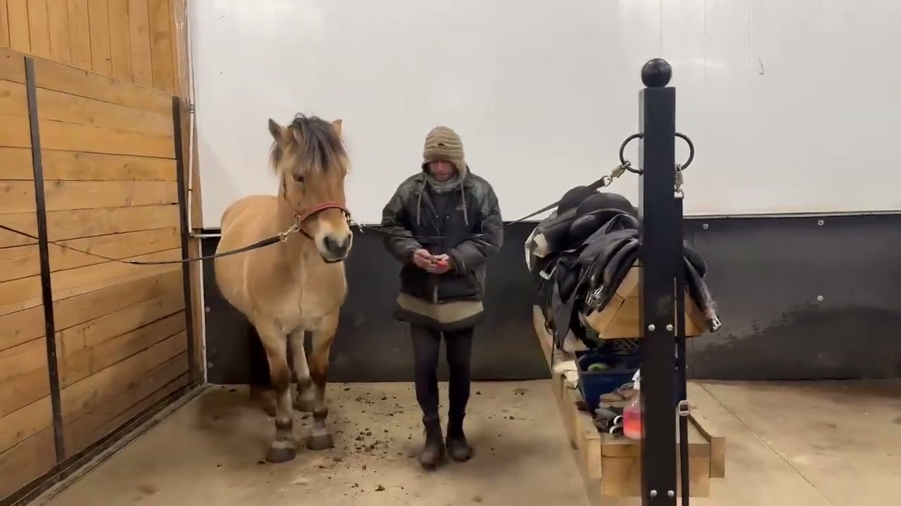 Ground - Maggie