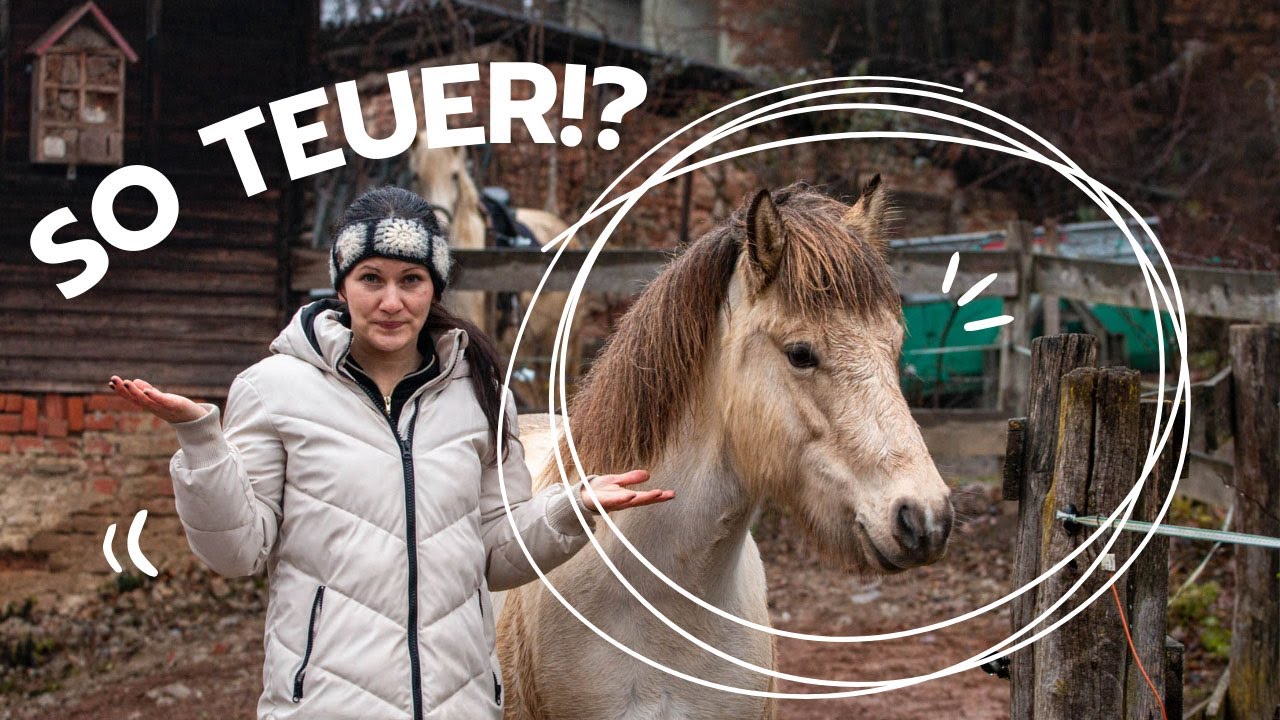 12.000&euro; f&uuml;r meine Pferde im Jahr? 😱🐴💸