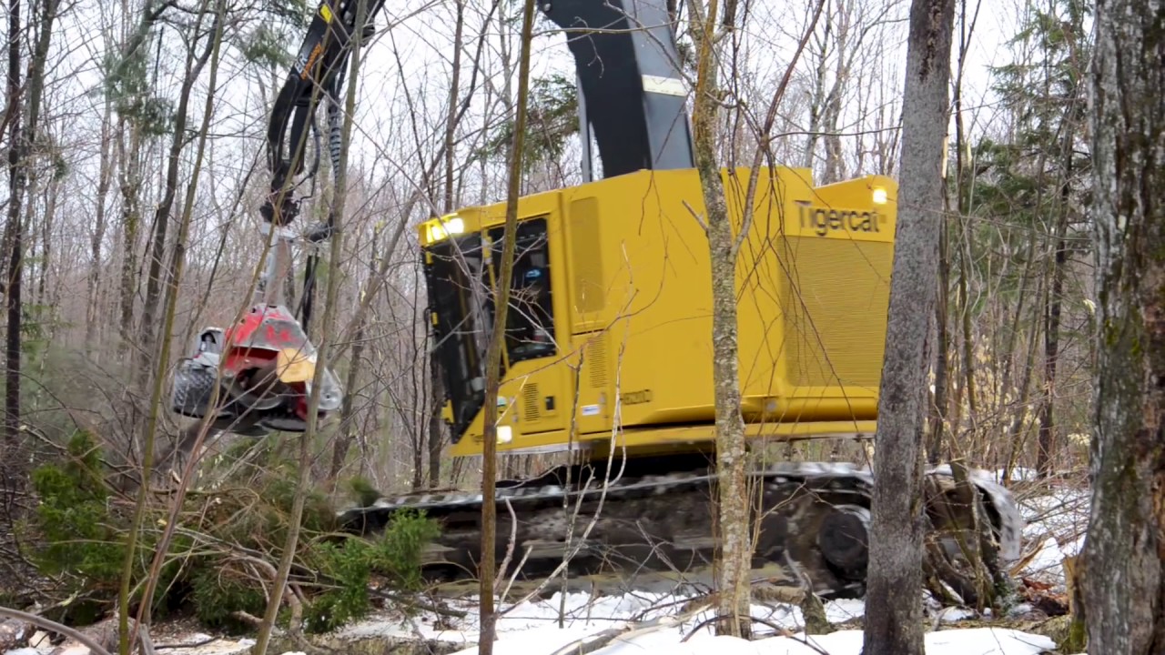 Tigercat H822D Harvester in Maine