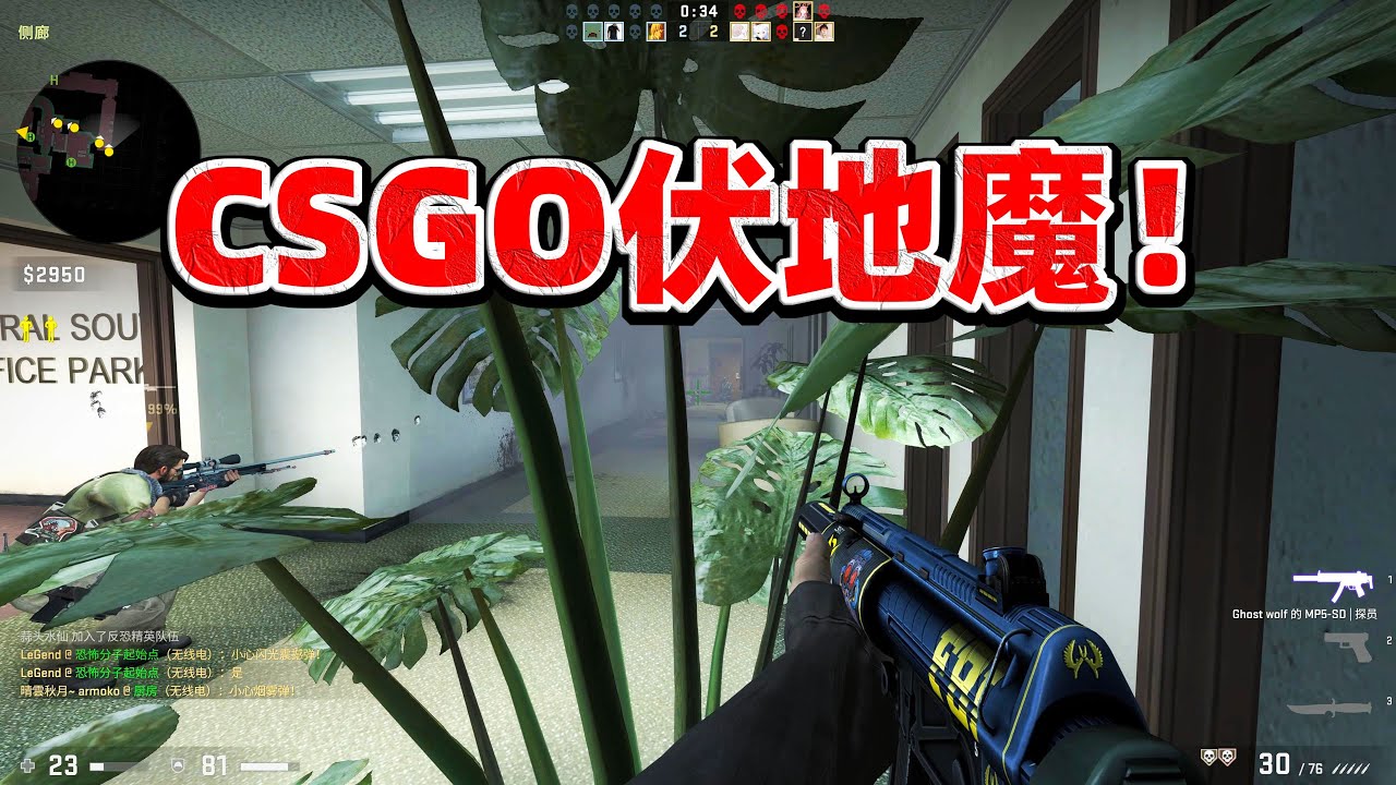 CSGO伏地魔！