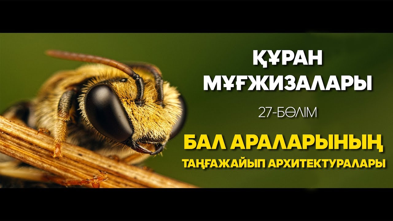 Құран мұғжизалары 27: Бал араларының таңғажайып архитектуралары ᴴᴰ