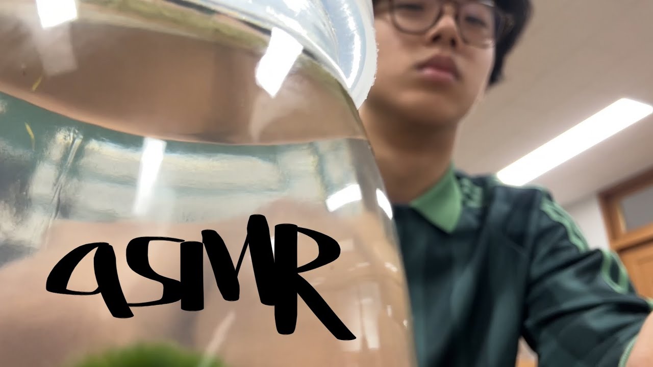 학교에서 asmr 2