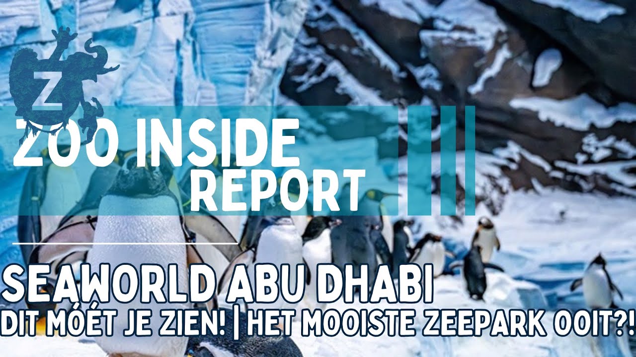SeaWorld Abu Dhabi | Dit moet je zien!