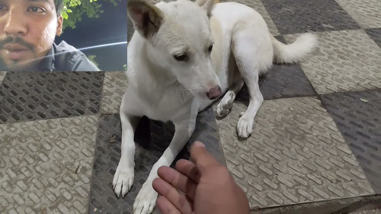 Night vlog day 1/100