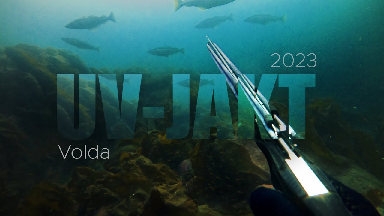 UV-Jakt | Spearfishing | Sunnmøre:Volda | 2023