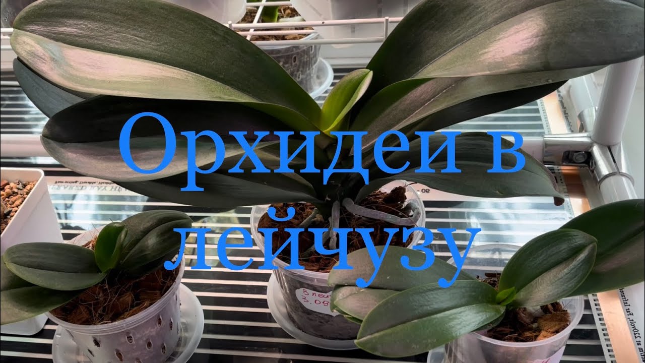 Эксперимент Продолжается 🤗