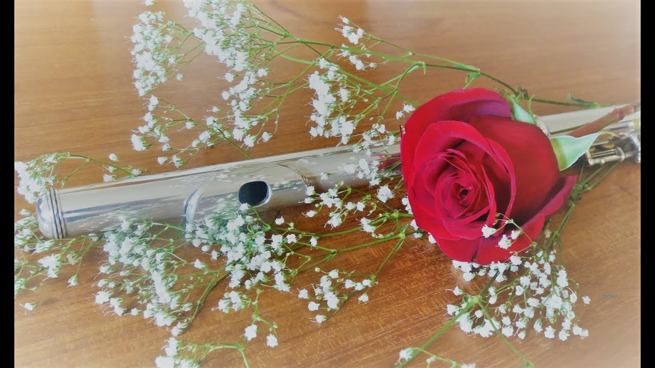 Can't Help Falling in Love [flute cover]