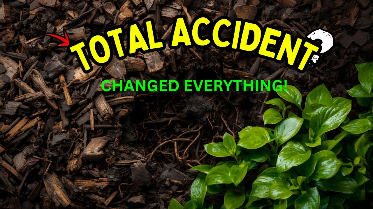 The Mulch Accident That Led Me to the Most Powerful Soil Trick Ever