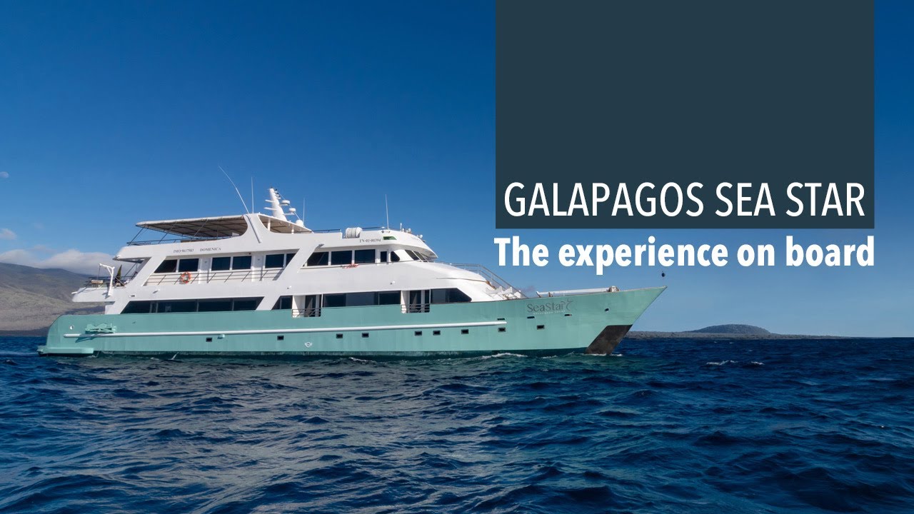 Galapagos Sea Star Yacht