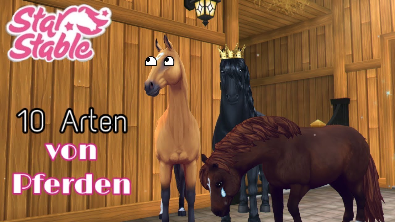 [SSO] 10 Arten von Pferden||Jana ❤