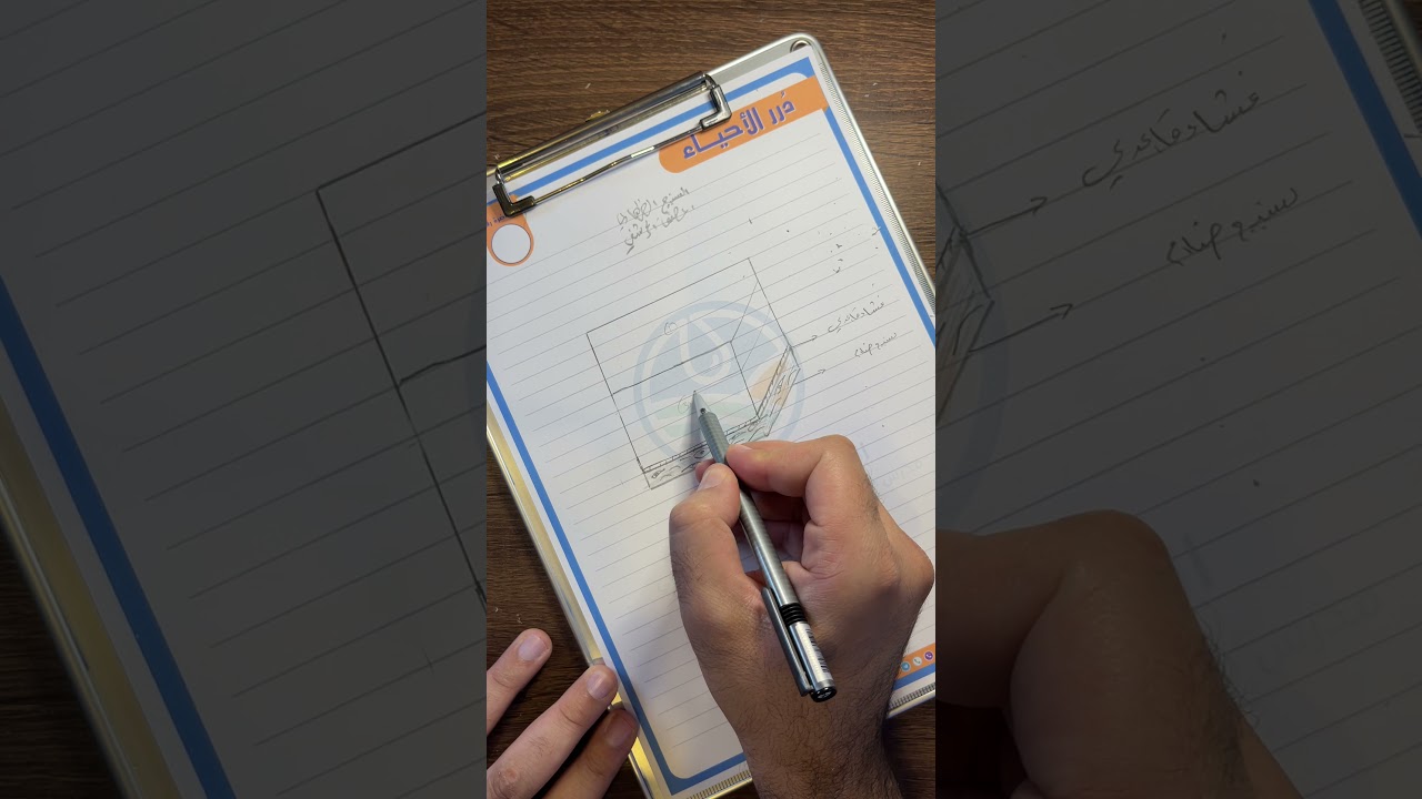 رسم النسيج الظهاري المطبق الحرشفي