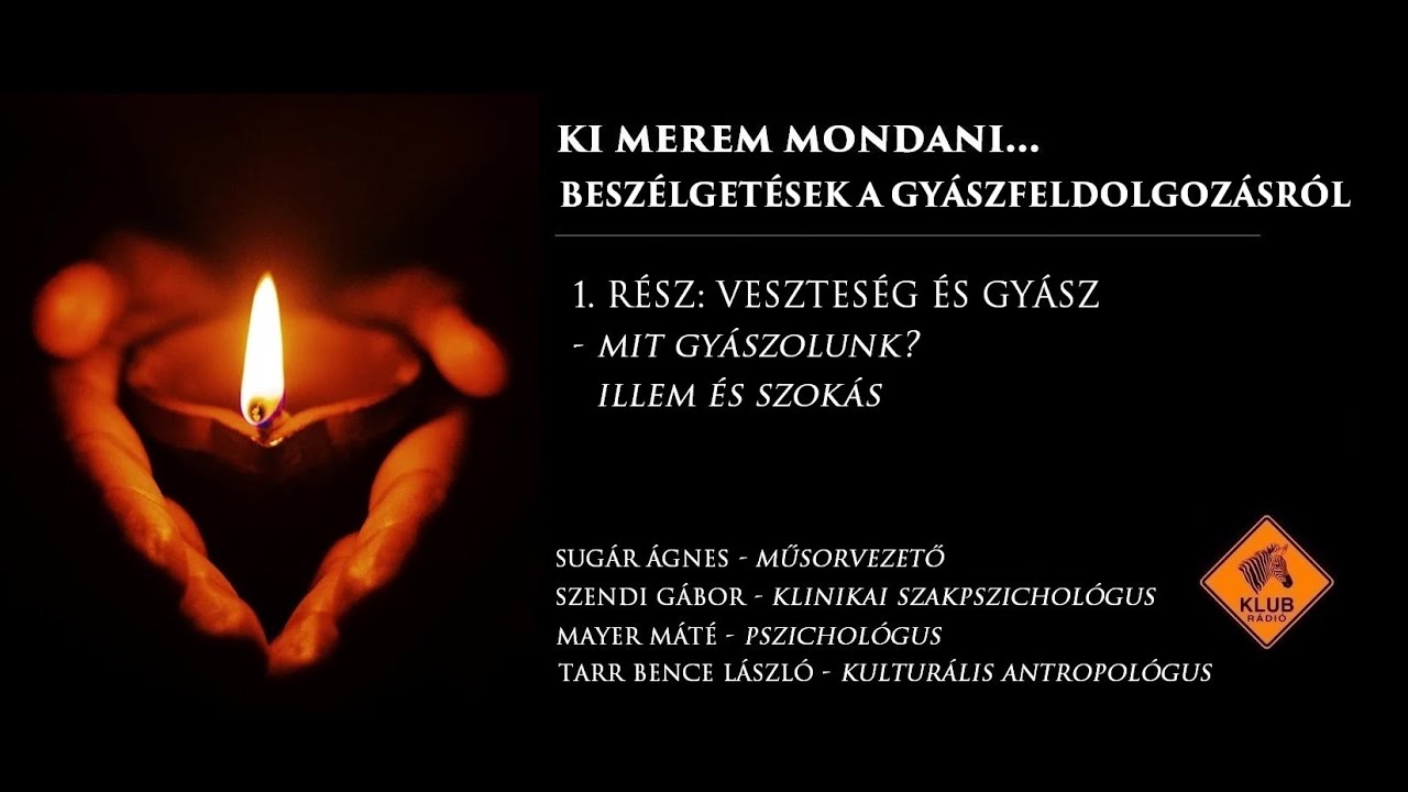 VESZTES&Eacute;G &Eacute;S GY&Aacute;SZ - Besz&eacute;lget&eacute;sek a GY&Aacute;SZFELDOLGOZ&Aacute;SR&Oacute;L 1. R&Eacute;SZ