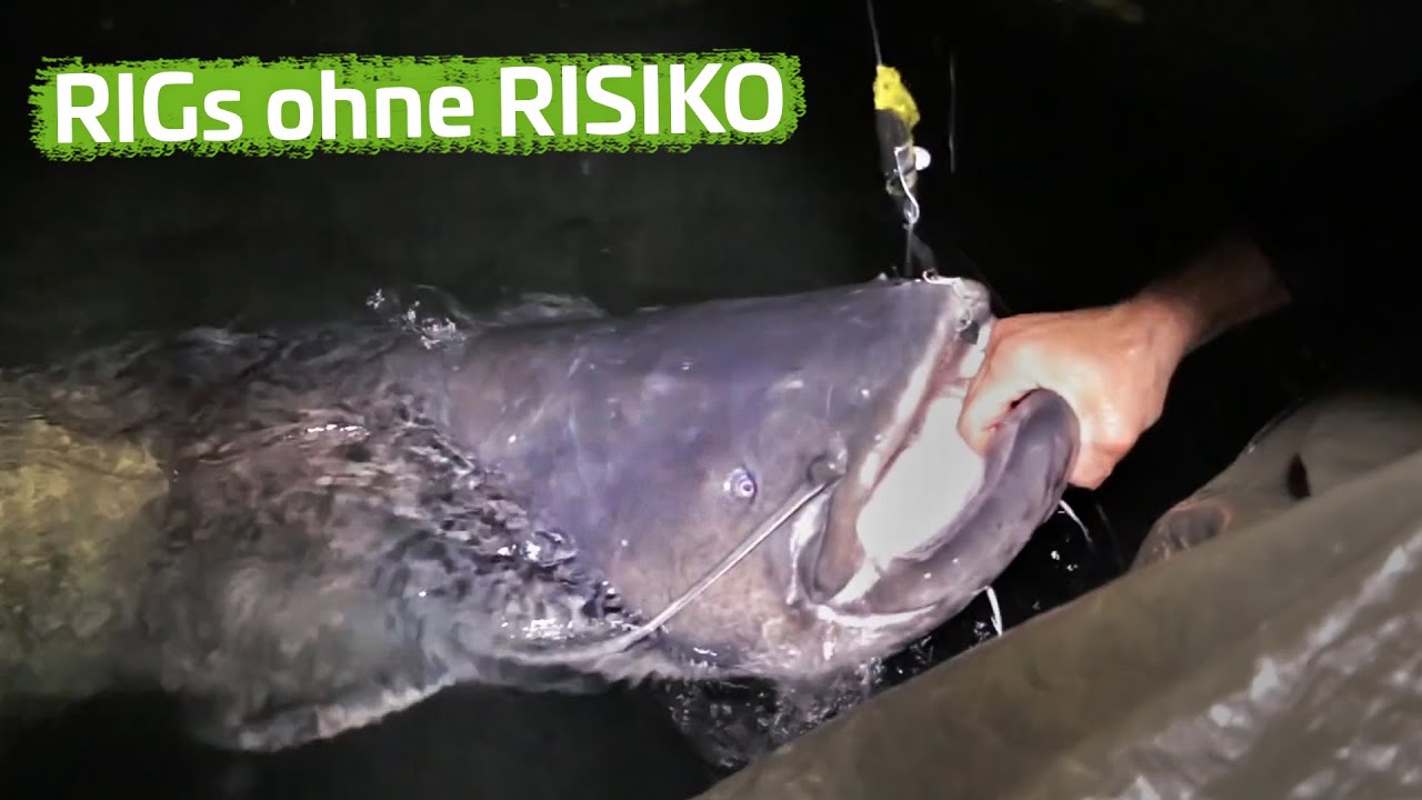 WELSE sicher HAKEN und LANDEN | Einzelhaken vs. Drilling beim Welsangeln