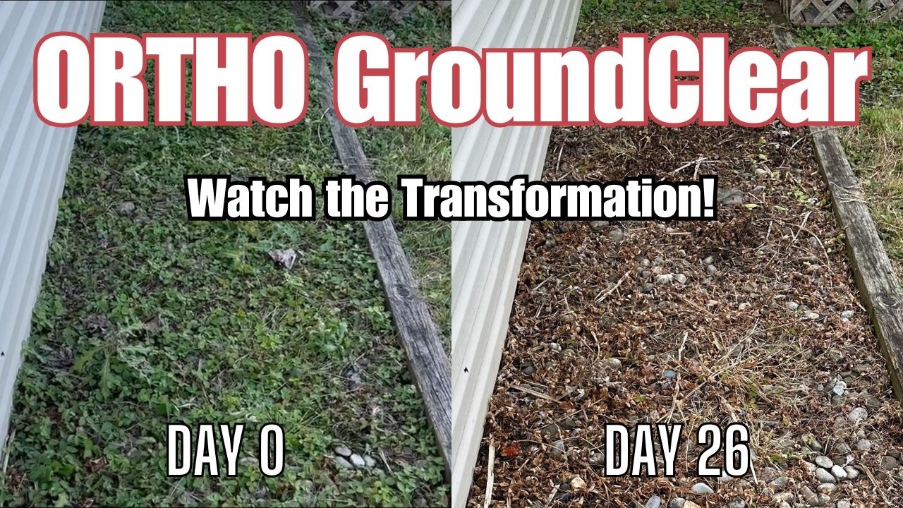 Ortho GroundClear: Ultimate Weed Killer Review