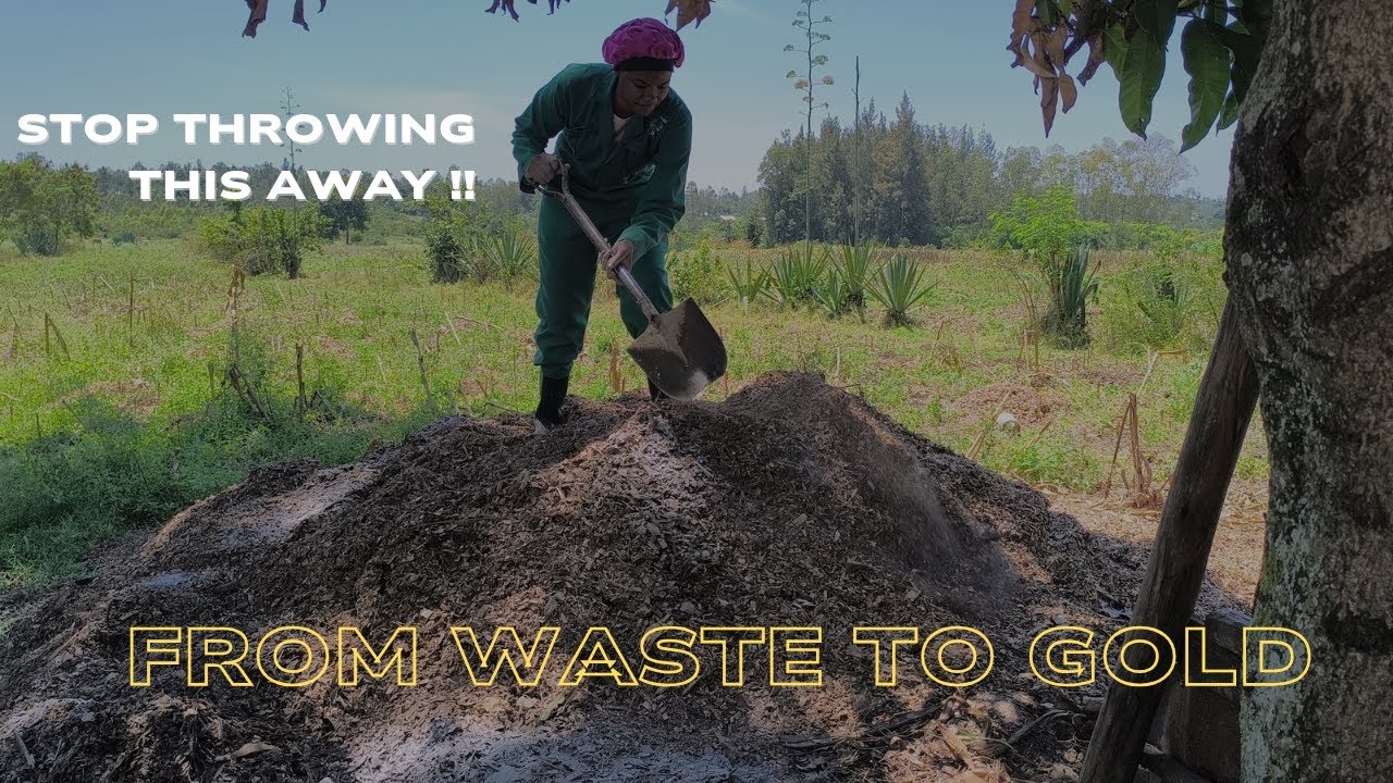 Are You Throwing Away the Best Natural Fertilizer? The Secret Power of Wood Ash & Chicken Manure