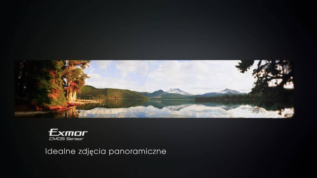 Aparat cyfrowy Sony CyberShot DSC-HX1