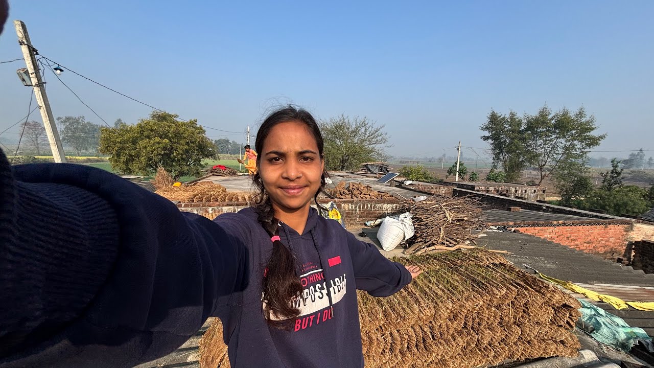 उपलों के ऊपर उग आई गेहूँ की फसल 🥹। Reshu Official 