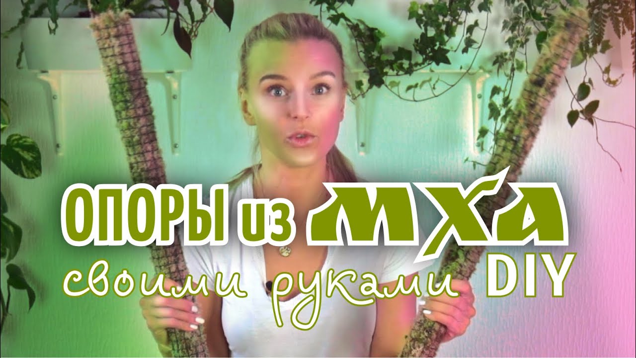 ОПОРЫ из МХА | Как сделать опору из мха своими руками? | DIY | 2021 Для комнатных растений
