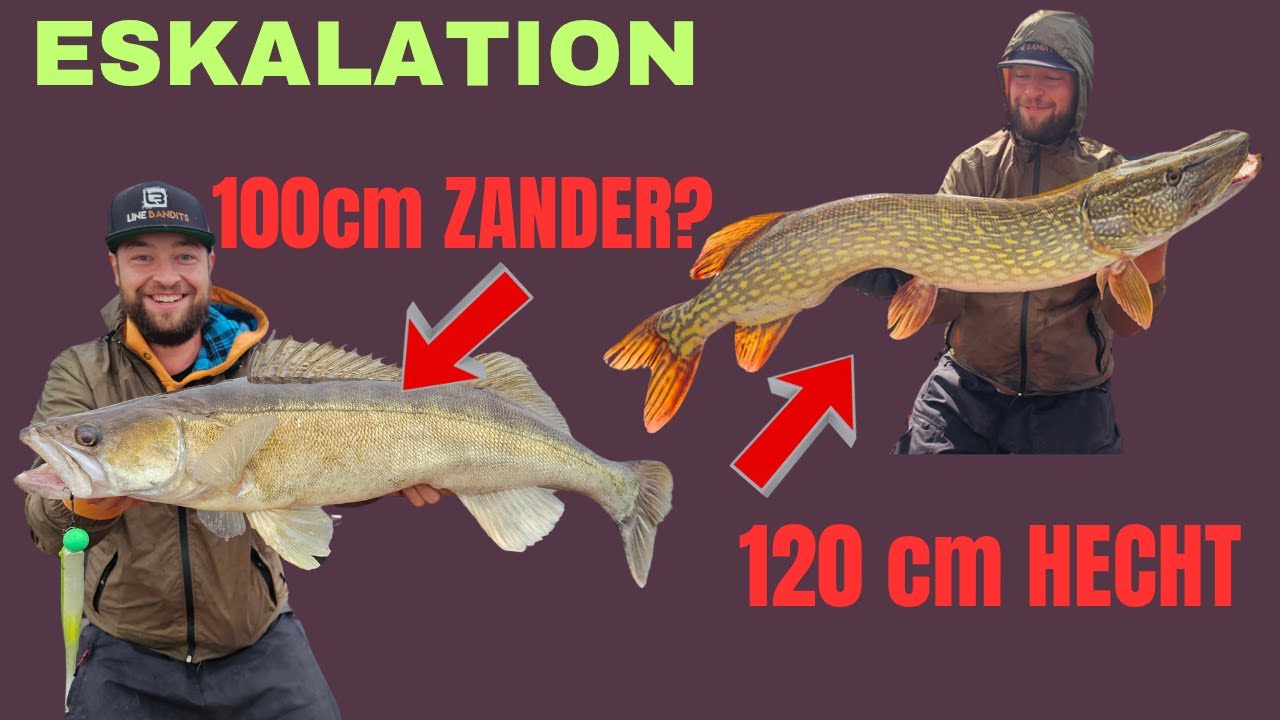 Nur XXL-FSCHE! Unser KRASSESTER 3-TAGE-Raubfisch-TRIP