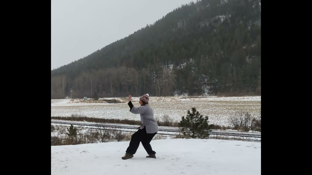 Wudang Tai Ji 9