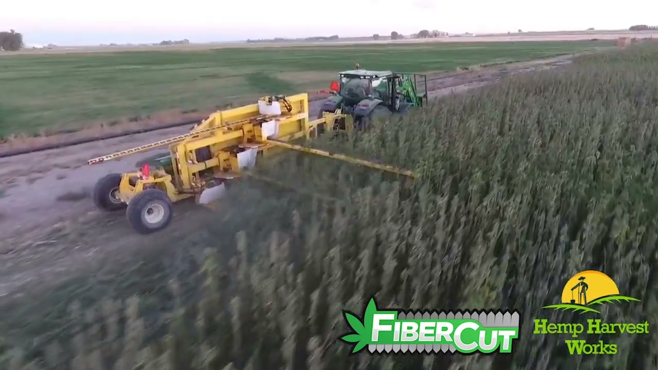 FiberCut - Harvesting Hemp for Fiber