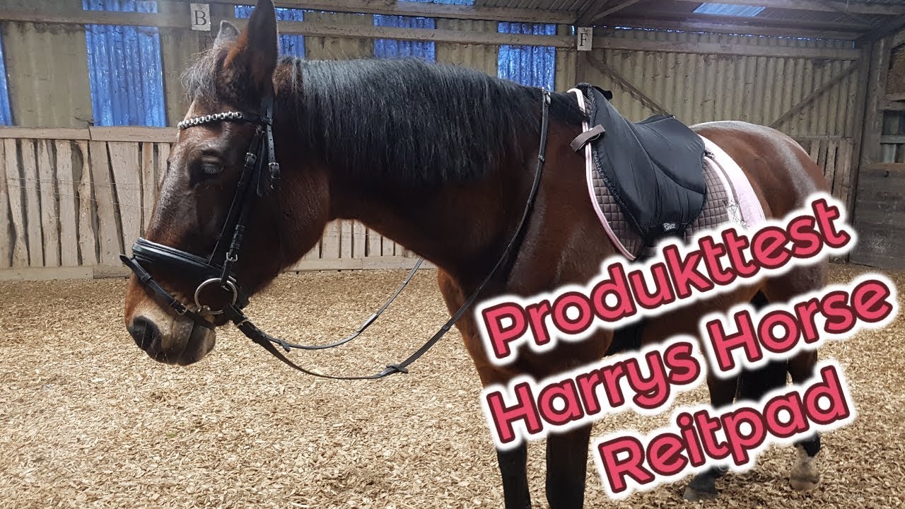 Produkttest Harrys Horse Reitpad