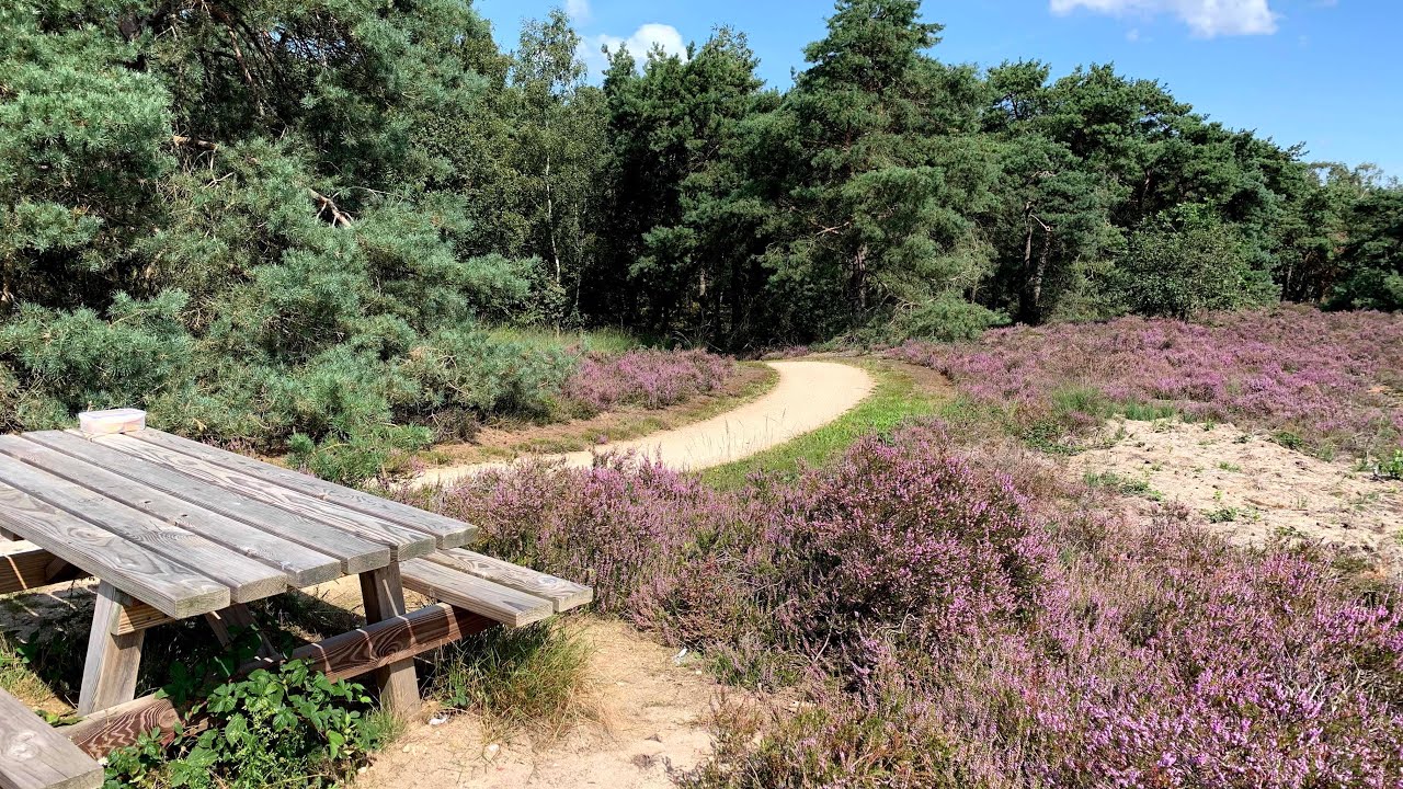 Fietsvakantie Limburg 2021