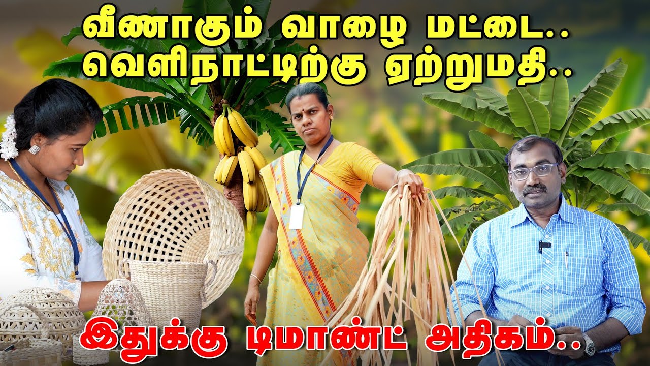 வீணாகும் வாழை மட்டை, வெளிநாட்டிற்கு ஏற்றுமதி.. Banana Value Added Business