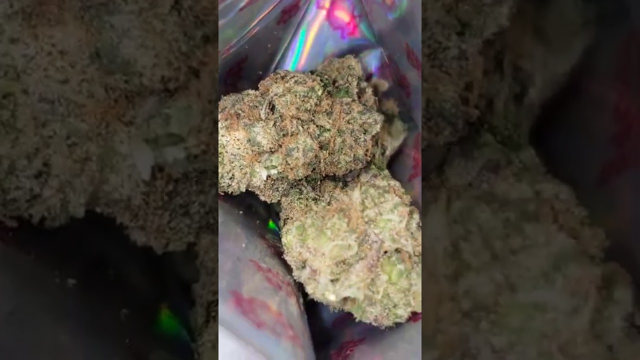 BUBBLEGUM POPPERZ BY SUPER DOPE BRAND