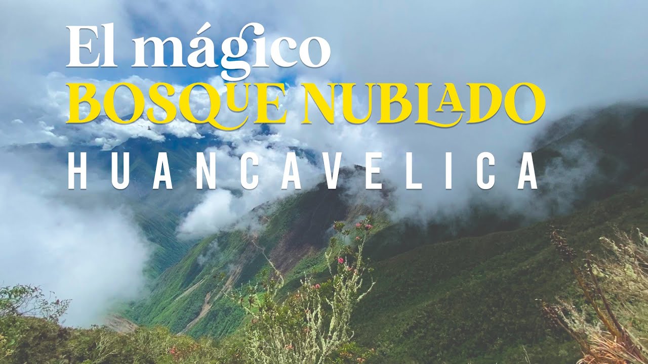 Un mágico bosque nublado en Huancavelica