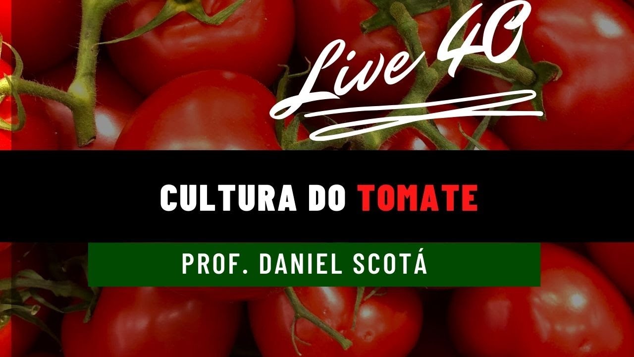 Live 40 - Cultura do Tomate