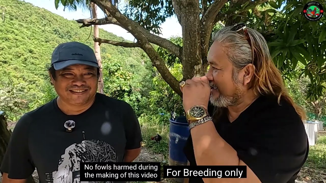 EP689 part 2:  Ito pala ang mga manok na ipamimigay sana