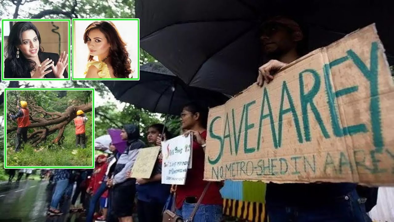 Authorities cut Aarey forest: Alia Bhatt, Sidharth Malhotra, Varun and others express their anger