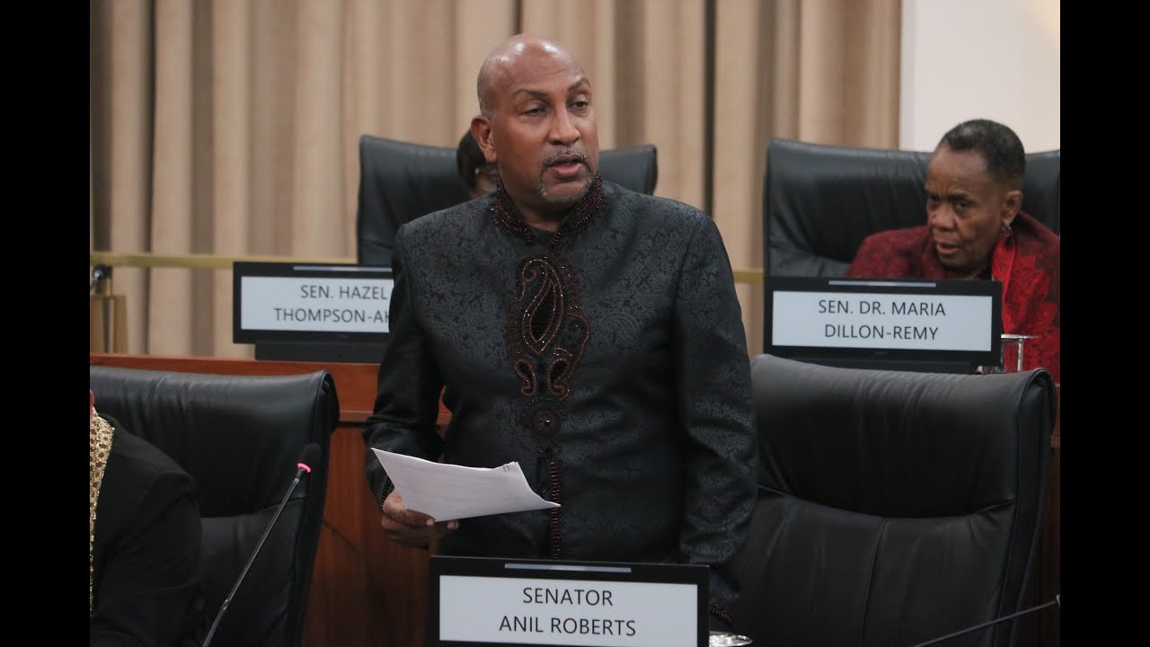 Senator Anil Roberts. Live from the Senate. The Law Reform (Zones of Special Operations)