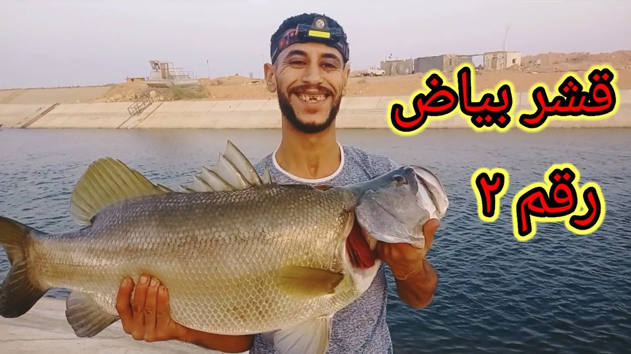 وحش من وحوش الشيخ زايد ومفيض توشكي وبحيره ناصر