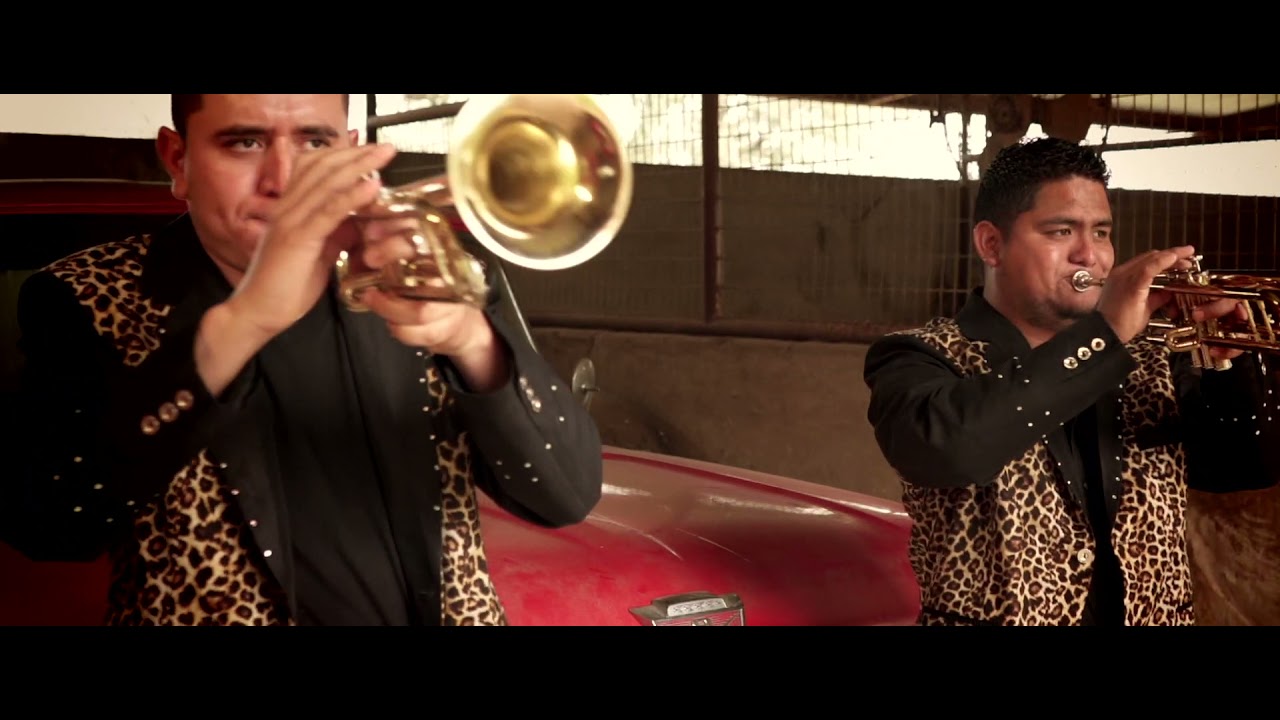 Cuando me Vaya del Mundo Video Oficial- EL TIGRE Y SU BANDA TIERRA NUEVA