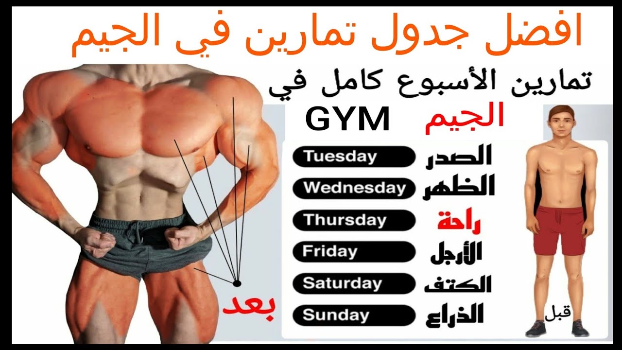 افضل جدول تمارين كمال الاجسام للمبتدئين لتضخيم العضلات ٥ ايام _ تمارين حديد