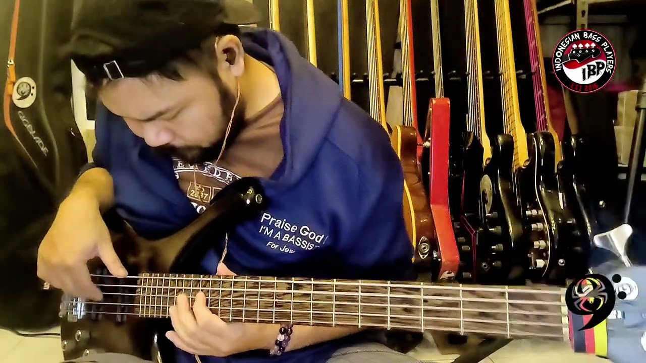Limp Bizkit - My Way (bass cover)