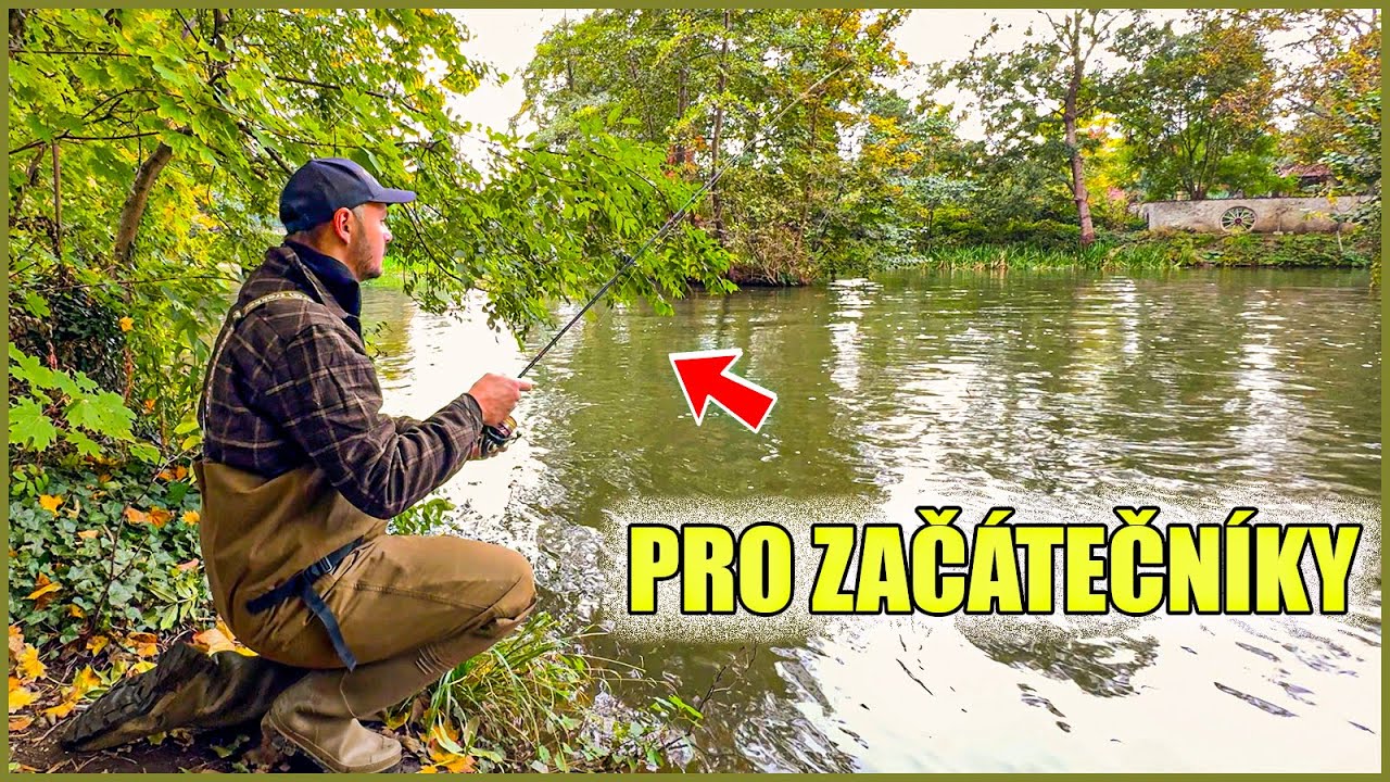 Jak úspěšně začít s ultralehkou přívlačí na podzim / Hledání místa i ryb na malé řece