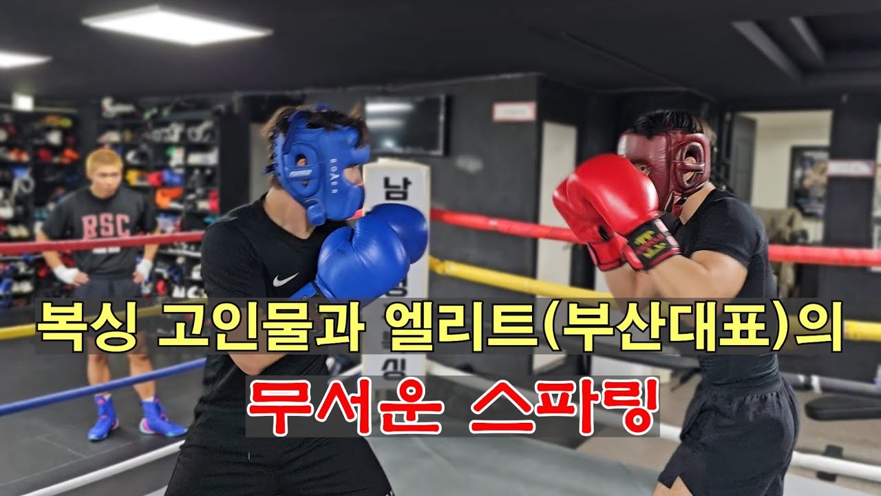 복싱 고인물과 복싱 엘리트(부산 대표)의 무서운 스파링! #boxing #권투 #복싱 #복싱스파링 #스파링 #유산소운동 #맨몸운동 #감량 #챔피언 #엘리트  #고인물