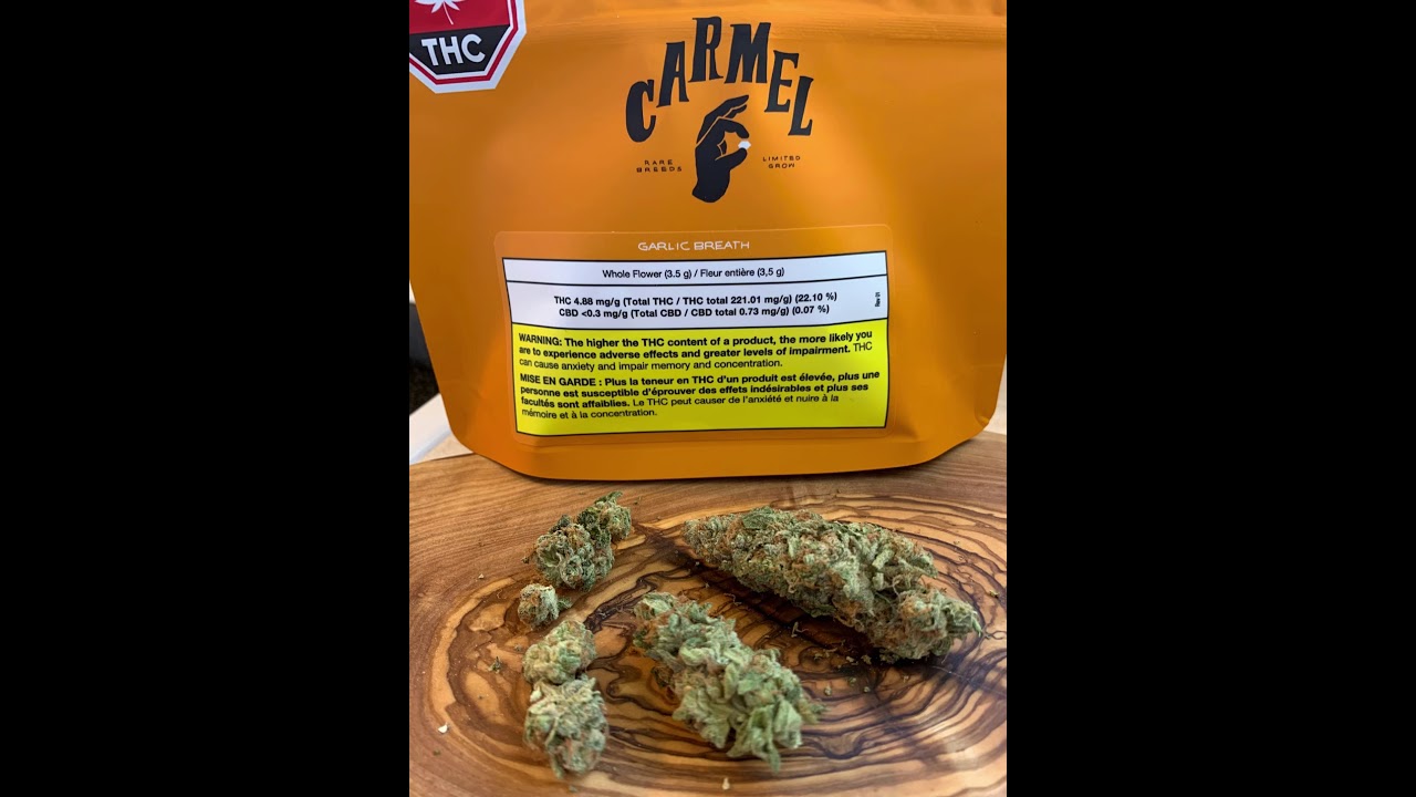 Garlic Breath Carmel Cannabis